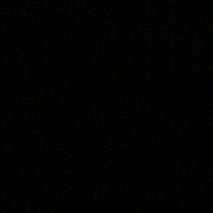 Meet your Posher, Rose